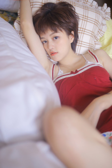 空姐前规则小说免费阅读